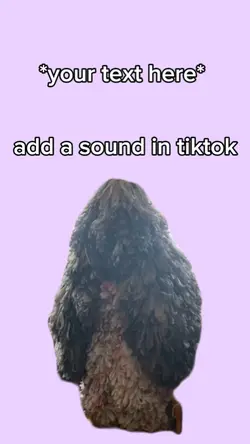 ruffle dance