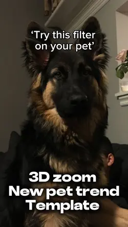 Pet 3D zoom trend 🔥