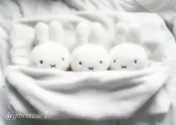 ﹕ⵌ┆𝗕𝗮𝗻𝗻𝗲𝗿 