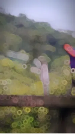newtemplate