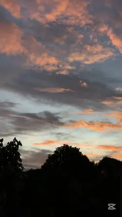 Buenos Días!