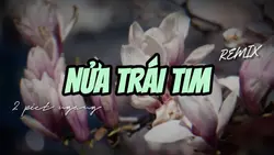 NỬA TRÁI TIM