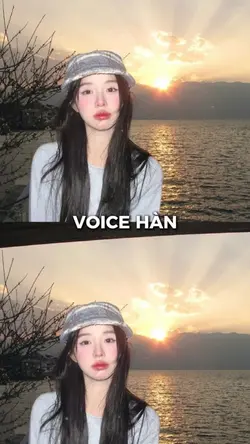 voice hàn