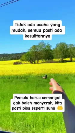 Fb pro fyp