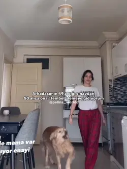 Çok ii bir arkadaşım