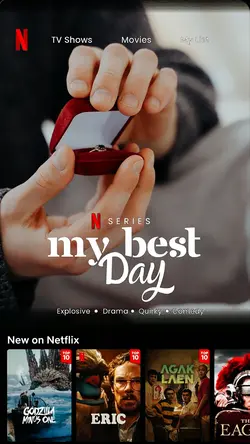 netflix template