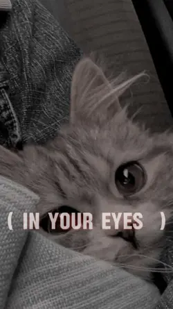 ° °