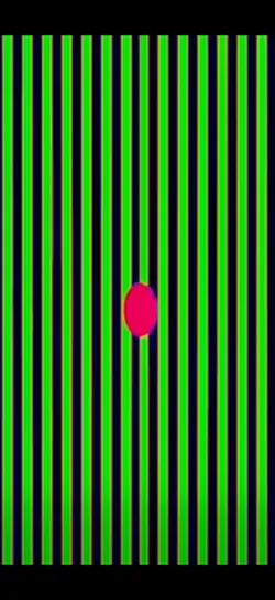 optical illusions