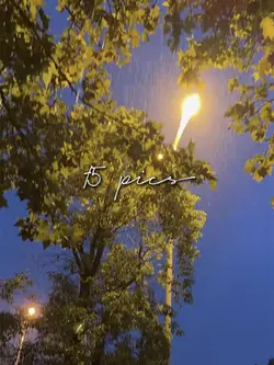 15🍂