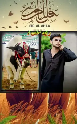 Eid template qurbani