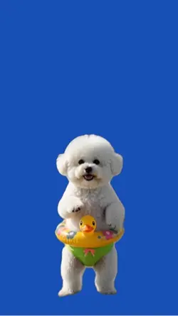 Dog/Cachorro