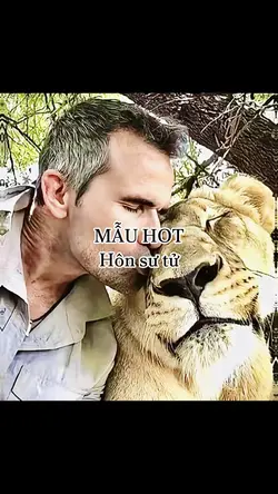 mẫu hai ảnh