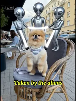 Taken by the aliens