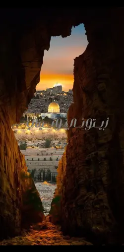 اناأصلي فصلي فلسطيني