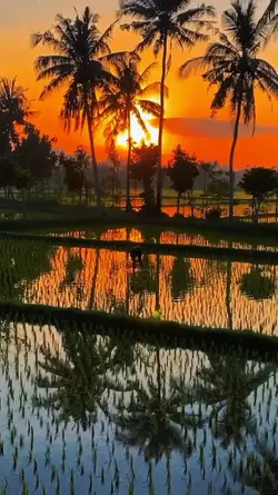wilujeung enjing