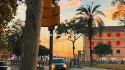 Vlog story