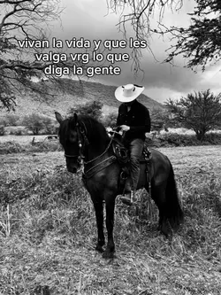 vaquero