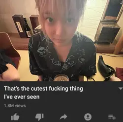 The cutest thing