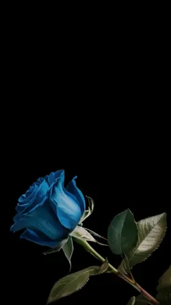 Blue Rose