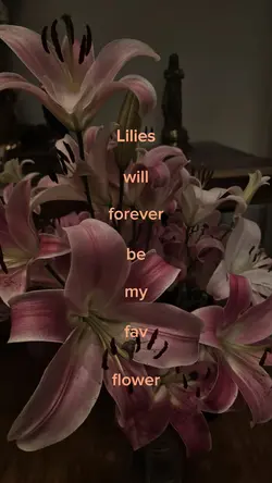 Lilies 