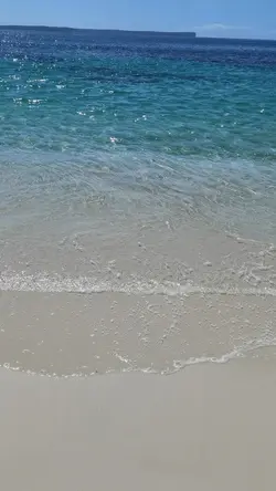 vlog happy