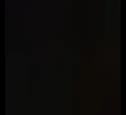 Zi soy