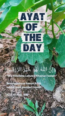 AYAT OF THE DAY