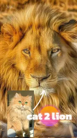 Cat 2 lion