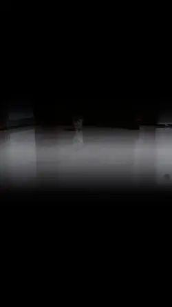 Cute cat slowmotion 