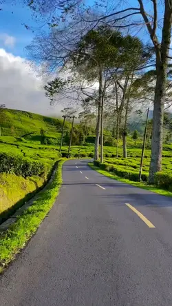7 video estetik road