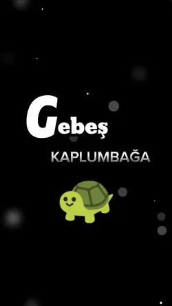 Gebeş Kaplumbağa