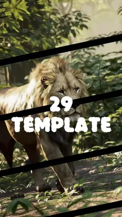 29 TEMPLAT