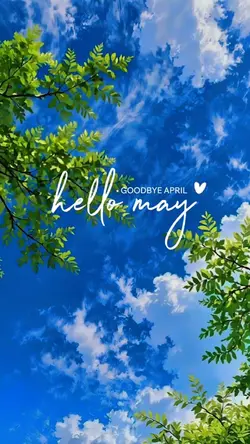 hello may