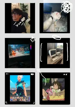 6รูป