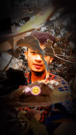 Ma shikhaiche