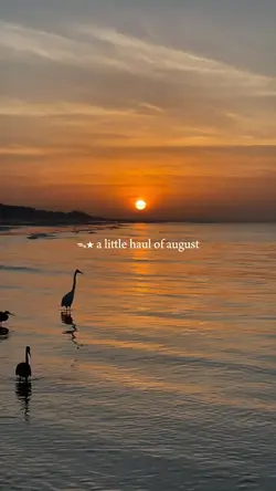 august photo dump 