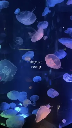 august recap