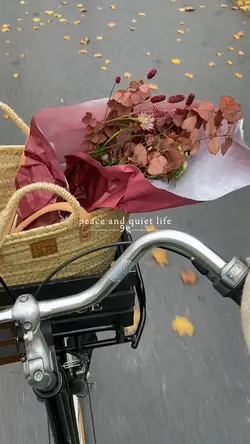 quiet life