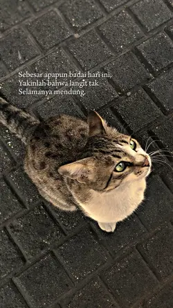 Sebesar apapun badai