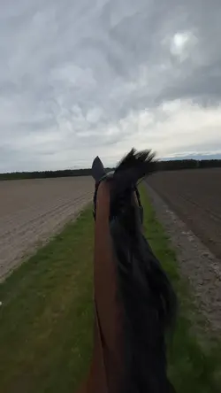 Ausreiten 