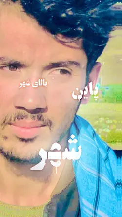 تیک_تاک_مه_فالو_کنید