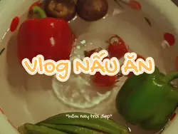 Vlog Nấu Ăn Chill