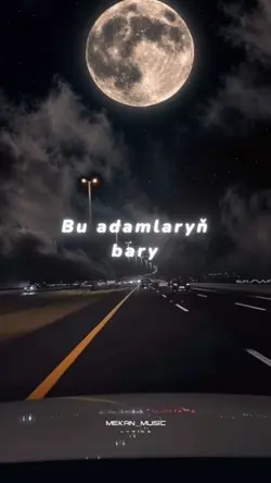 Hic yalnysmadyk yaly