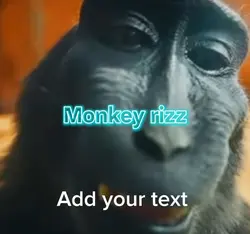 Monkey rizz