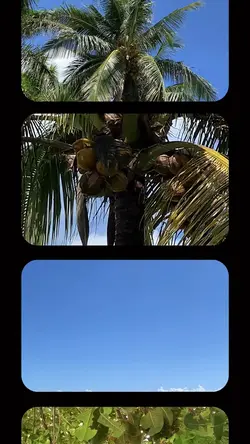 Summertime 6 Videos