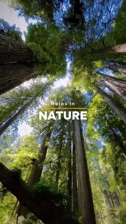 Relax in Nature