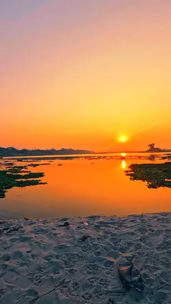Nature Background 