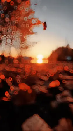 Slowmo filter