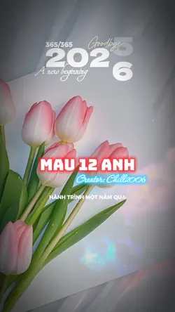 Mẫu 12 ảnh