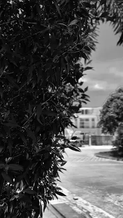 Cinematic
